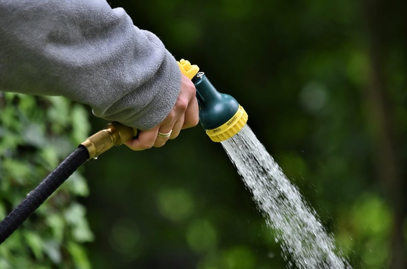 Moonlight Watering Can